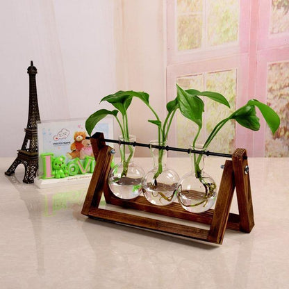 Green Space Glass Terrarium - Hydroponic Plant Transparent Vase With Wooden Frame