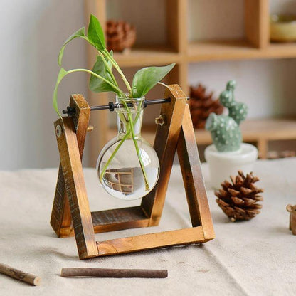 Green Space Glass Terrarium - Hydroponic Plant Transparent Vase With Wooden Frame